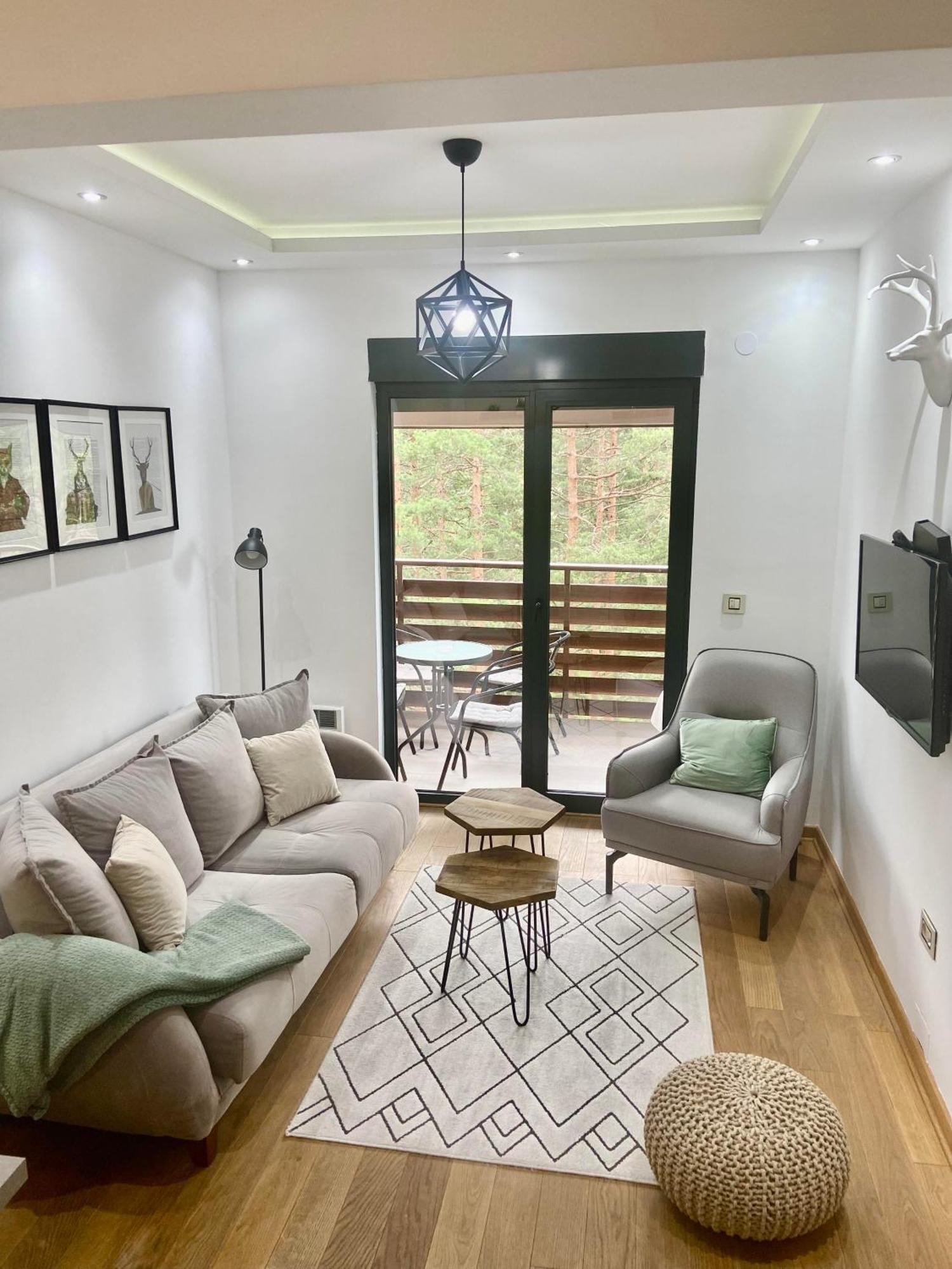 Apartment Pino Bianco 2 - Vila Pekovic ズラティボール エクステリア 写真